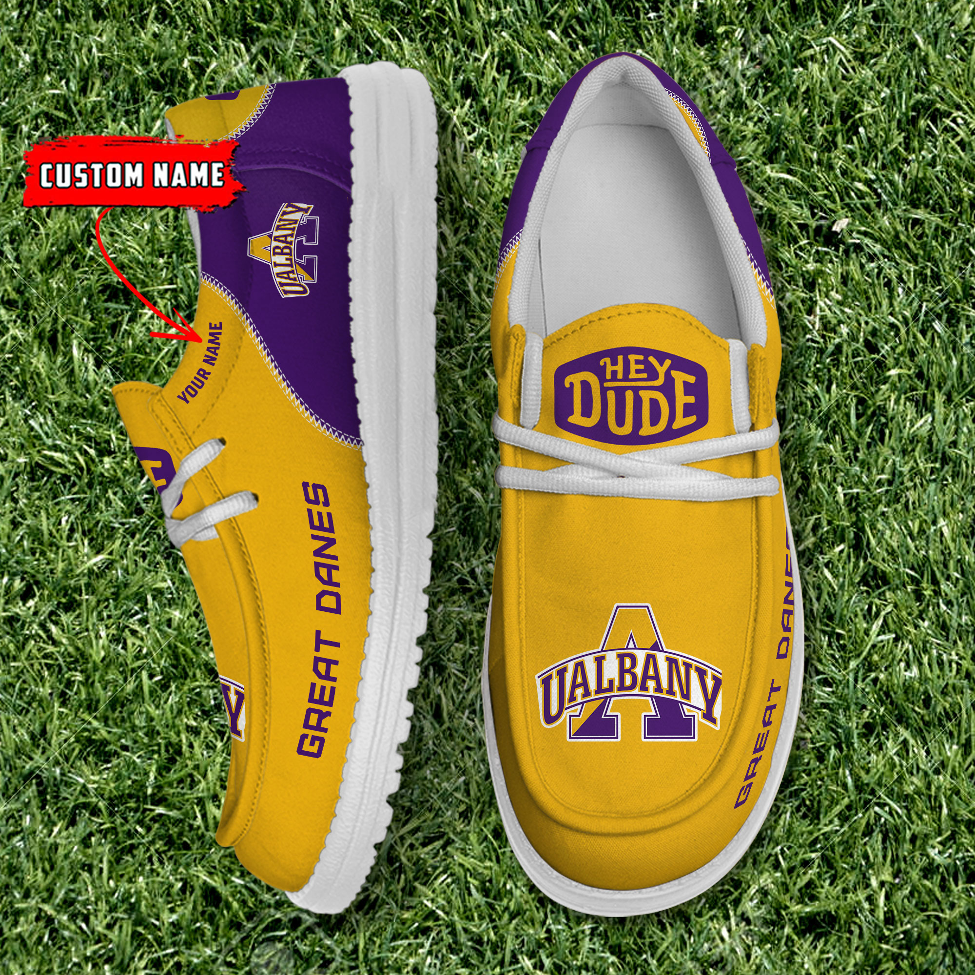 footwearelite albany great danes custom name hey dude shoes fj5ks