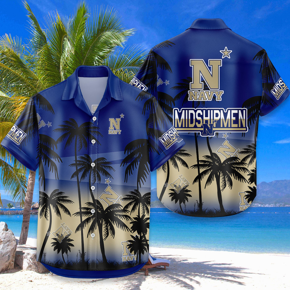 0x1000@1743219625494