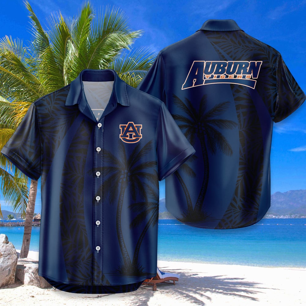 0x1000@1743653168470