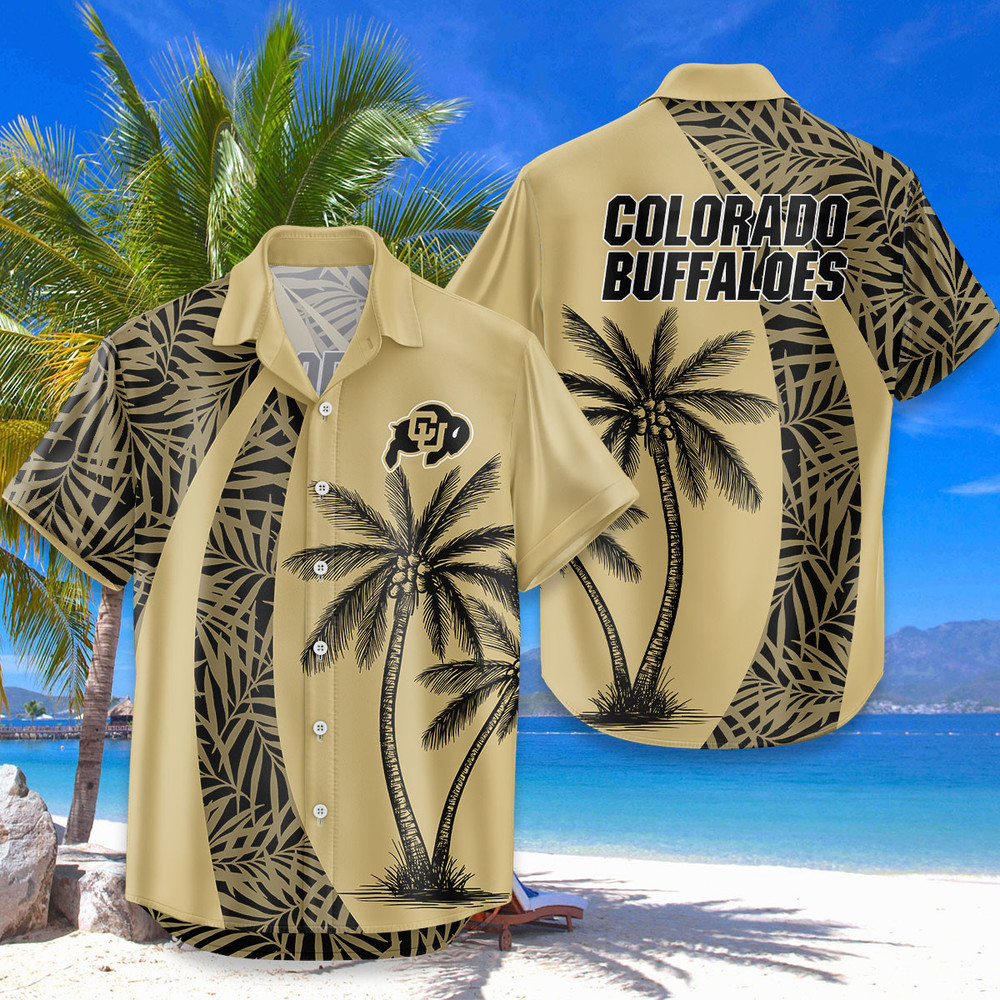 0x1000@1743662563708