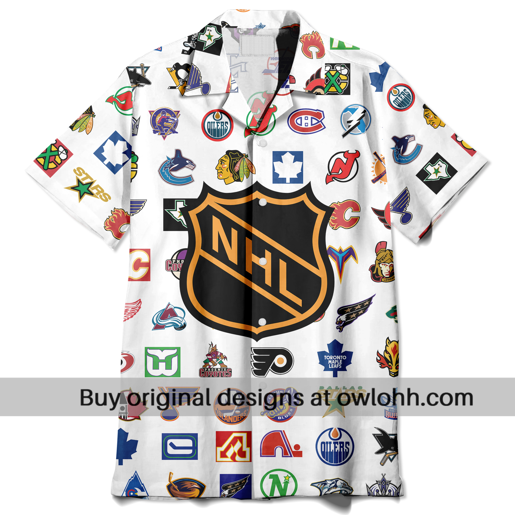HAWS03NGA010725 Vintage NHL Teams Logos History 2