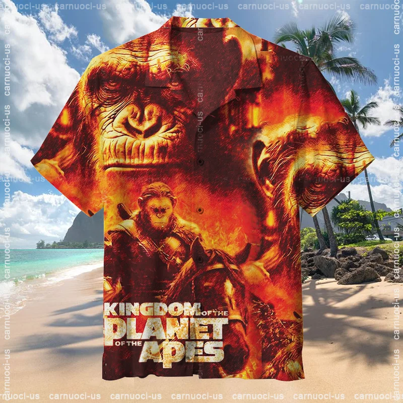 c11cf12048d849baf6e604c182a6a64d 800x